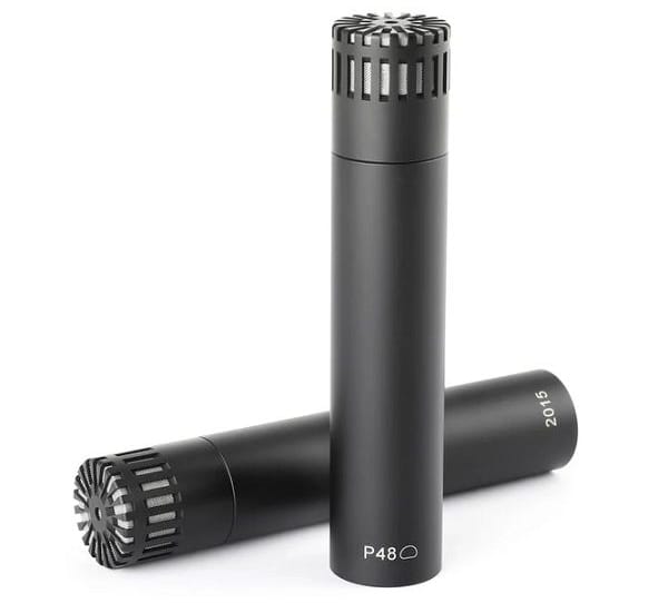 Two DPA 2015 microphones.