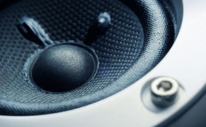 Close-up photo of a subwoofer element.