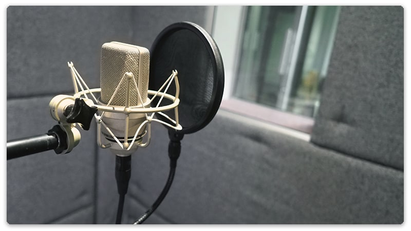 Studio microphone in a shock mount with a pop filter.