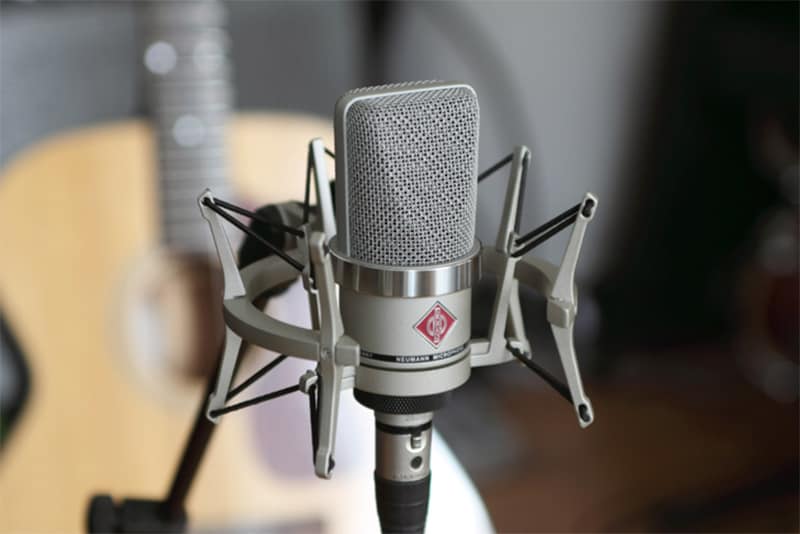 Neumann TLM 102 mounted in a shock mount.