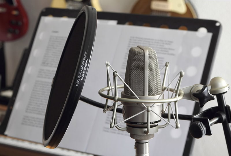 Neumann TLM 103 Pop Filter.