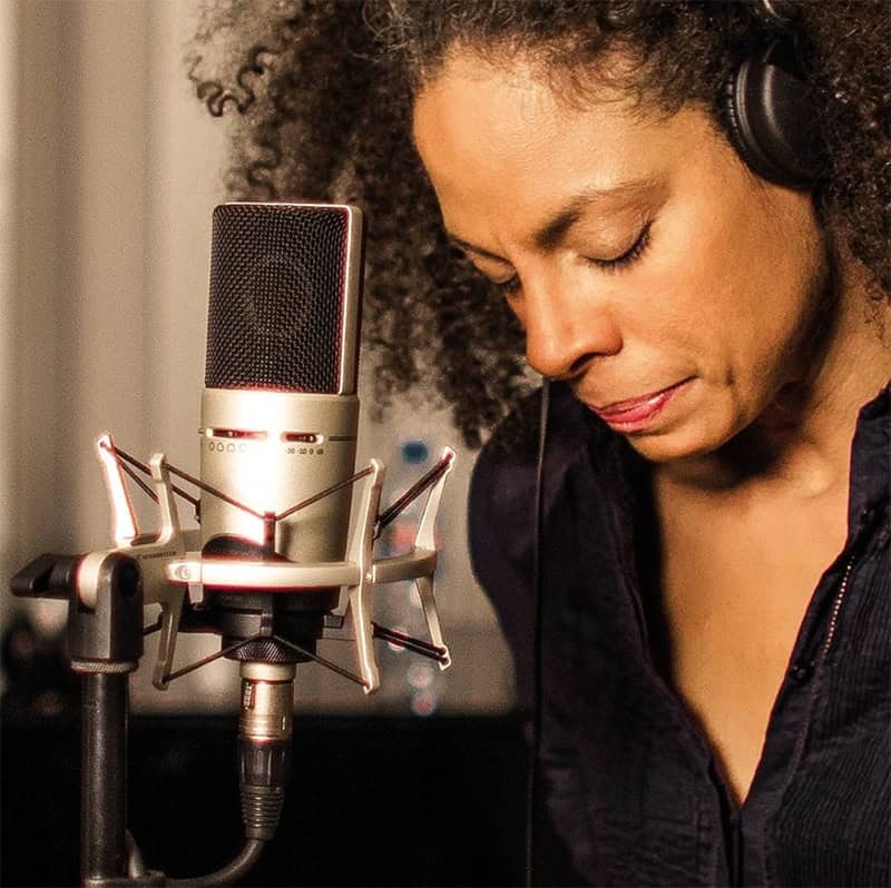 Sennheiser MK 8 Vocalist.