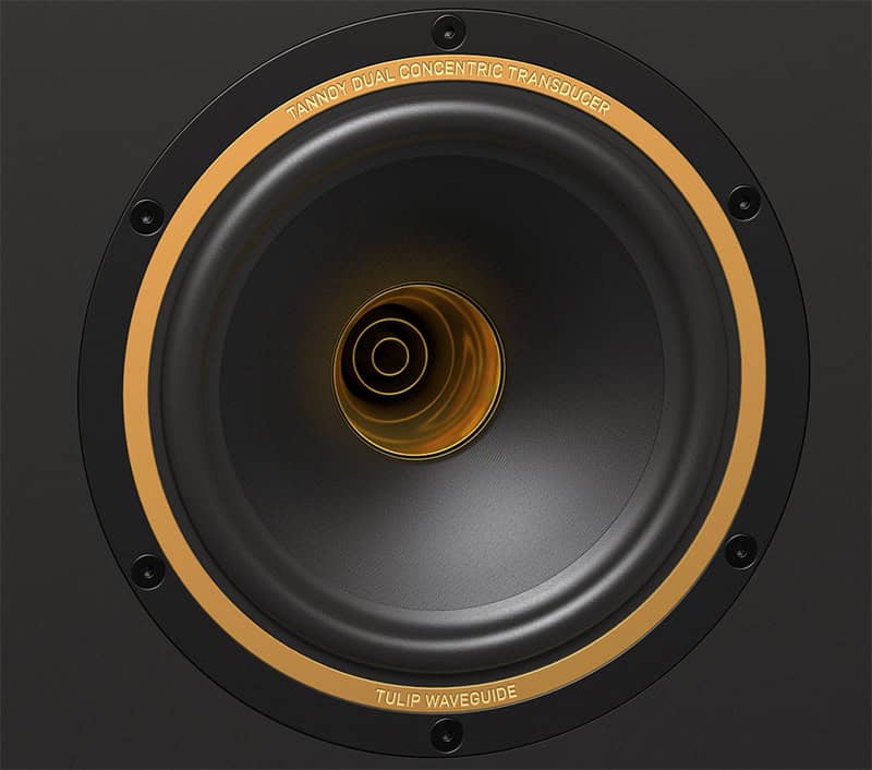 Tannoy Gold 7 Driver Close-up.